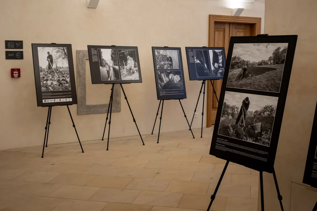 Velká putovní výstava přinesla poutavé černobílé fotografie vystavené na stojanech v komorním prostředí vnitřní galerie.